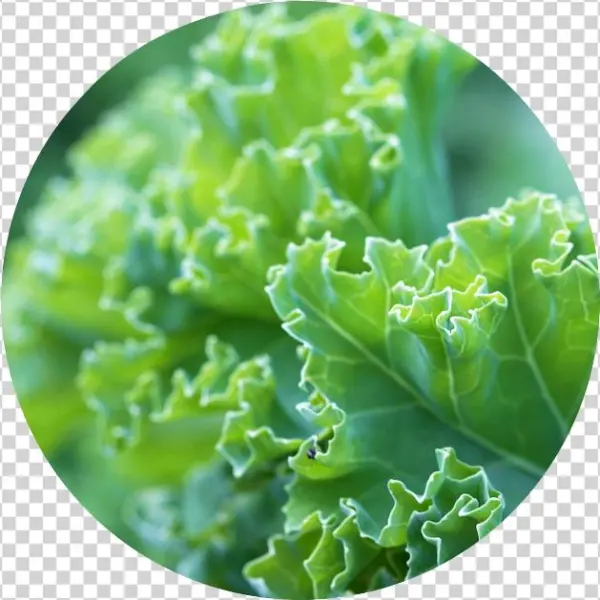 Cooking Class With Greens