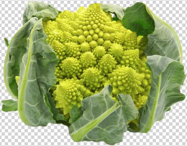 Download - Romanesco Kool