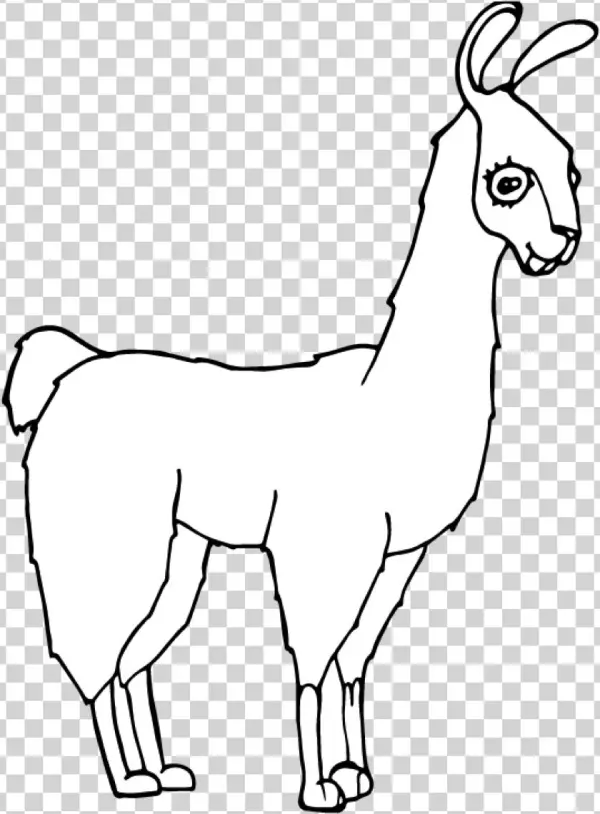 Encourage Children To Add Details Showing What This - Drawing