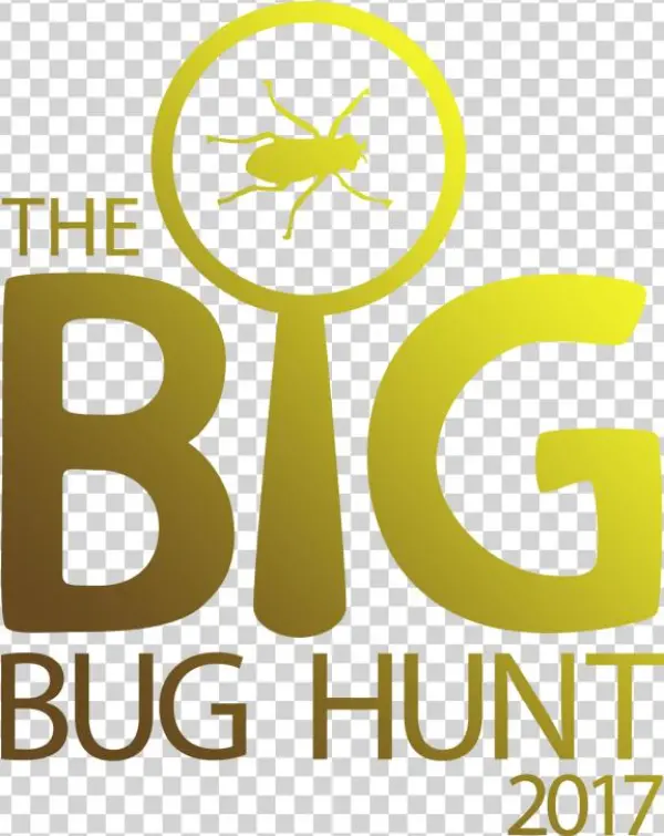 Flathead Farmworks - Bug Hunt