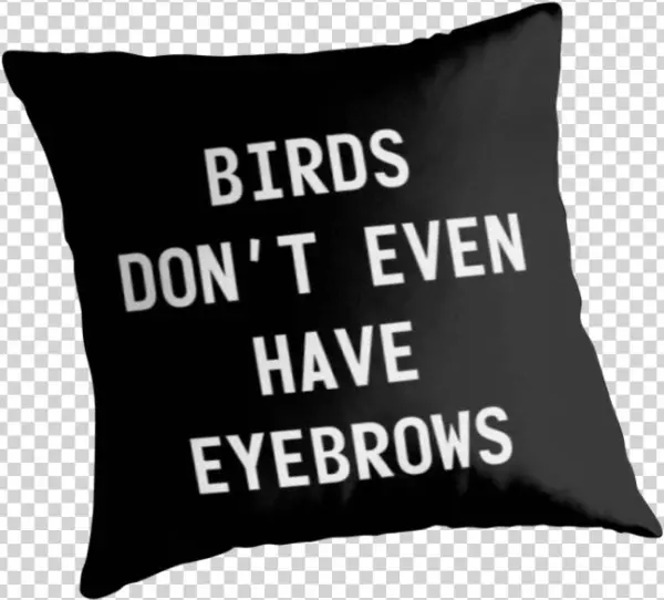 Larry " Birds Dont Even Have Eyebrows" White Text" - Robert Lutece