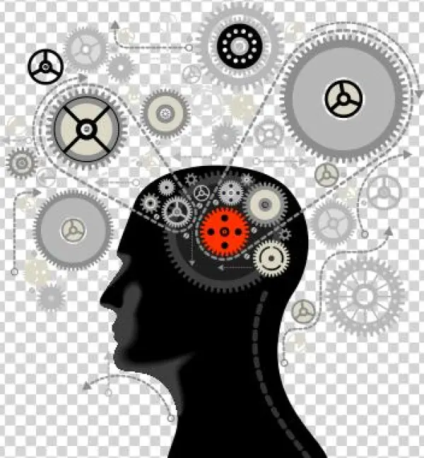 Optimization - Business English: Speaking And Writing Strategies For