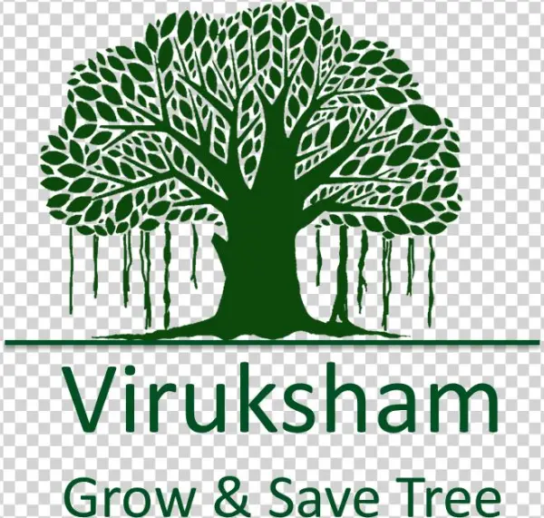 Recoverable In A Short Term But Trees