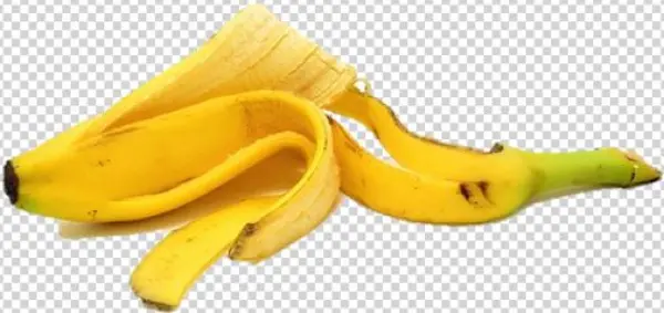 Risks Of A Transfer - Kulit Pisang