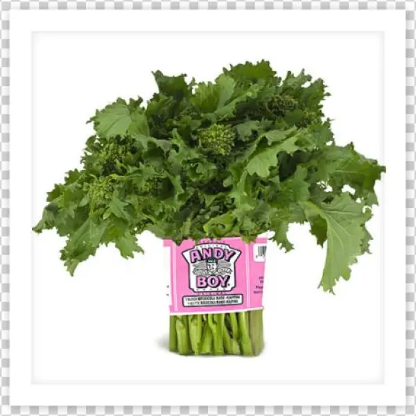 You Are Here - Rapini