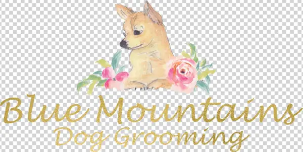 Zazzle Rose Rosa Watercolor-rosen Mit Blumen Geschenkanhänger