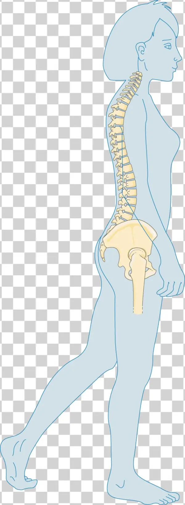 Adulte - Osteoporosis