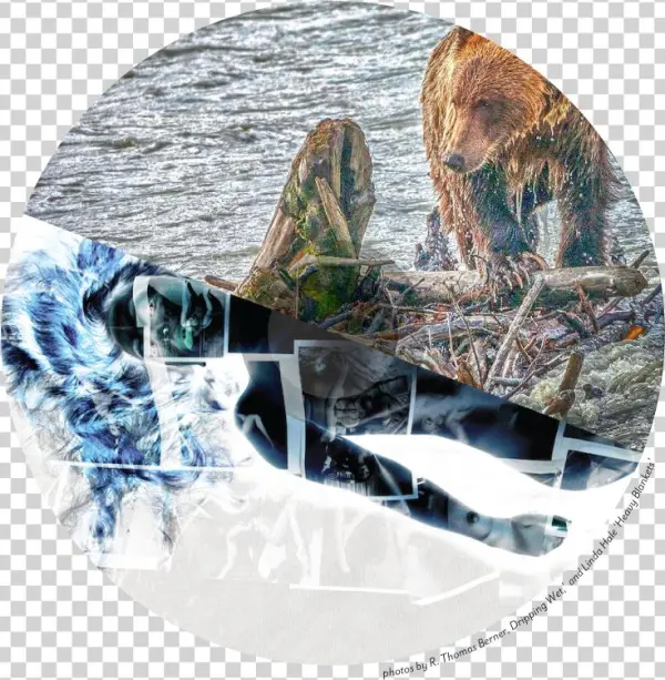 Art At The End Of The Lens Photography Show - Wakeboarding