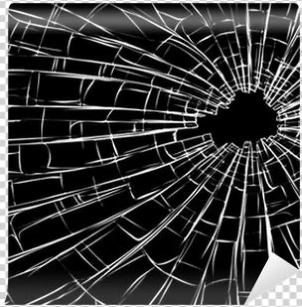 Days Of Madness [book]