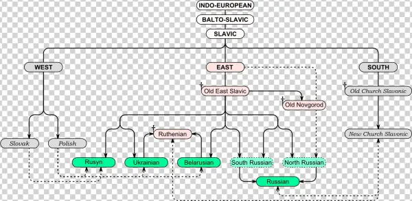 East Slavic Languages Tree En - لغات سلافية