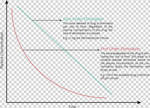 Explanation, Drug Elimination - Diagram
