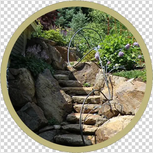 Generic Cialis Pharmacy Review - Boulder