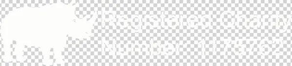 Helping Rhinos - Darkness