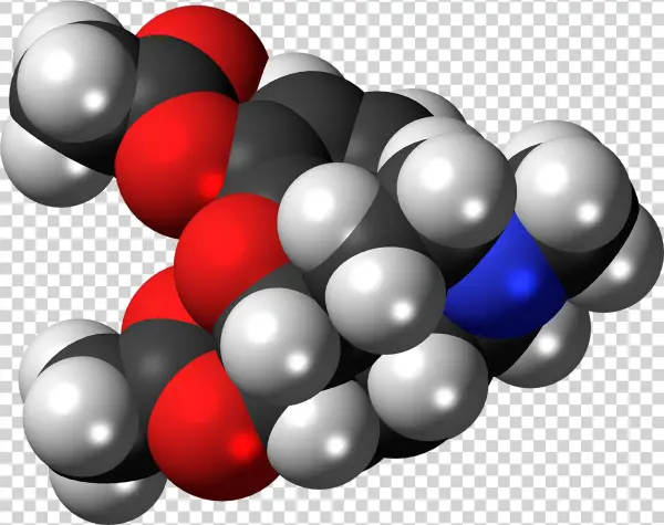 Heroin Molecule Spacefill - Codeine
