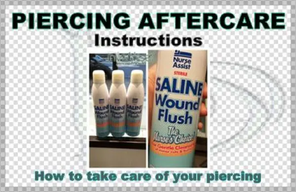 Hours & Info - Sponge Counter By Xodus ( Counter, Sponge, Bag, Clear,