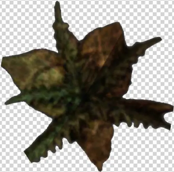 Morrowind Bittergreen Petals - Wiki
