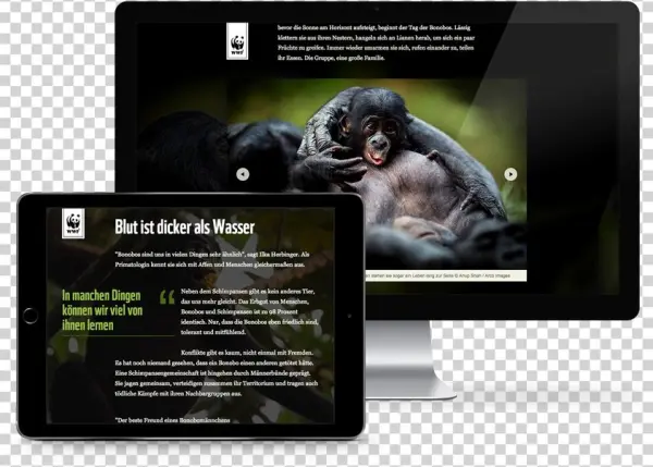 Save The Bonobos - Website