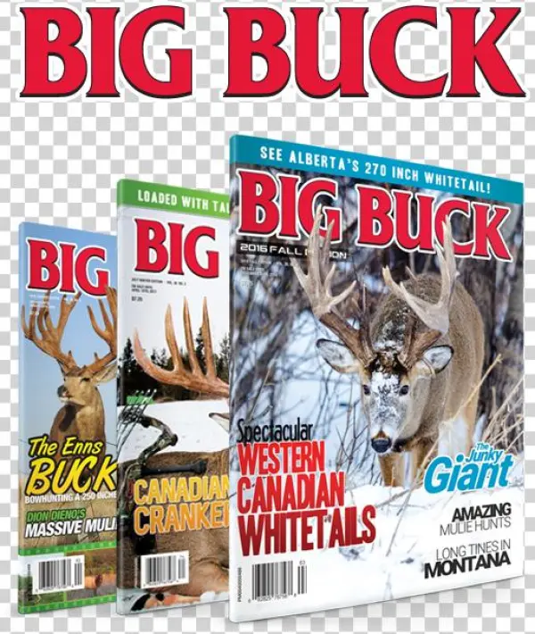 3 Years $60 - Design