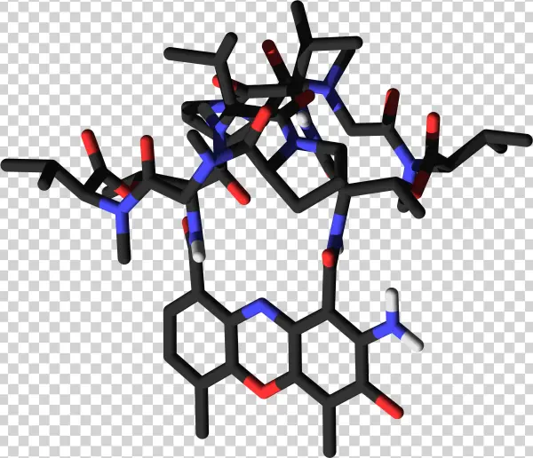 Actinomycin D Sticks - Intercalate Actinomycin D