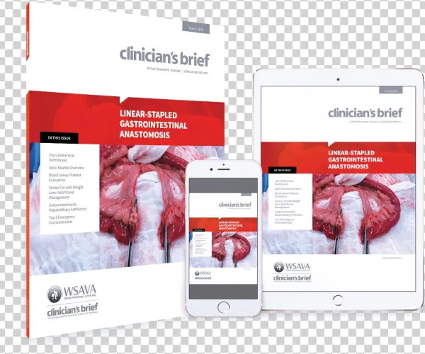 All 2018 Issues - 2018