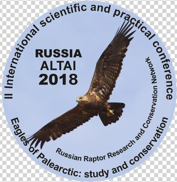Altay Eagle