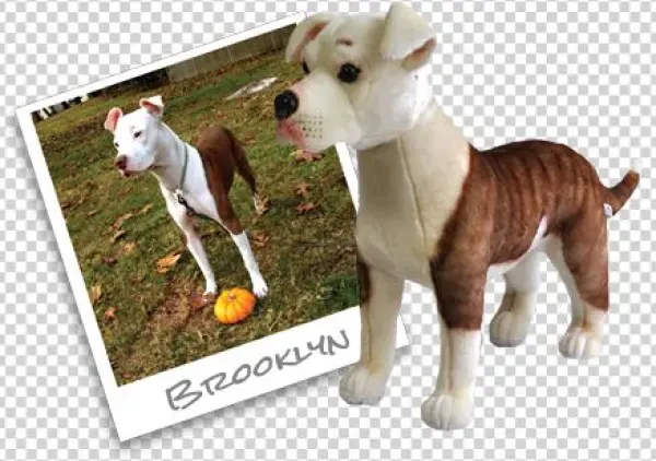 Brooklyninstagram - Toy