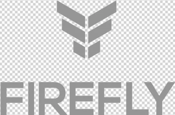 Company - Firefly Educate