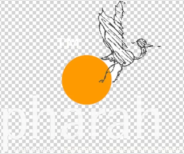 Icon Logonew Header Colour White1 - Foundation