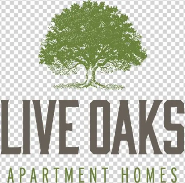 Live Oaks Logo - Epistle To The Romans, Vol. I: Exegetical Outlines