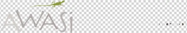 Logo Awasi Horizontalcurvas Copy Transparant - Hotel Awasi Patagonia Logo