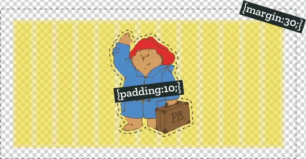 Padding Or Margin - Cartoon