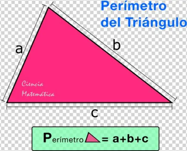 Perímetro De Un Triángulo - Perimeter