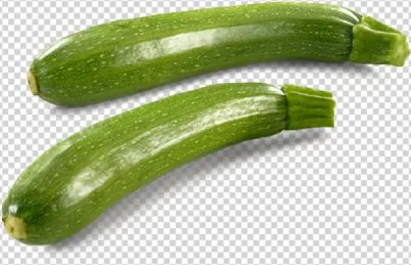 Product Features - Pasta