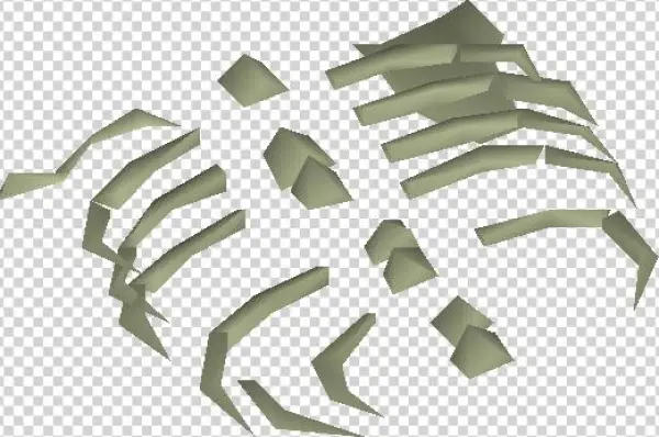 Small Fossilised Ribs Detail - Wiki