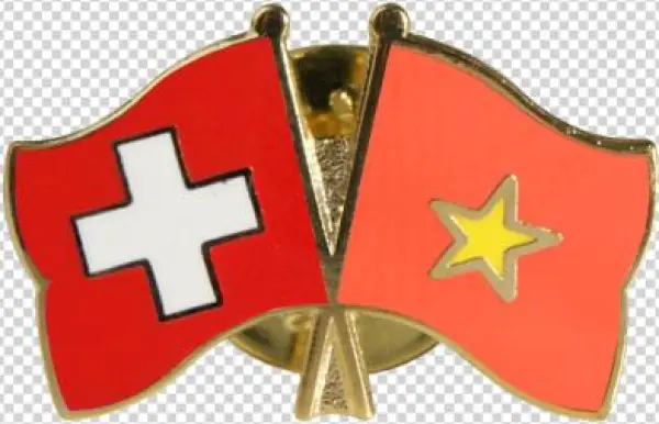 Vietnam Friendship Flag Pin, Badge - Vietnam