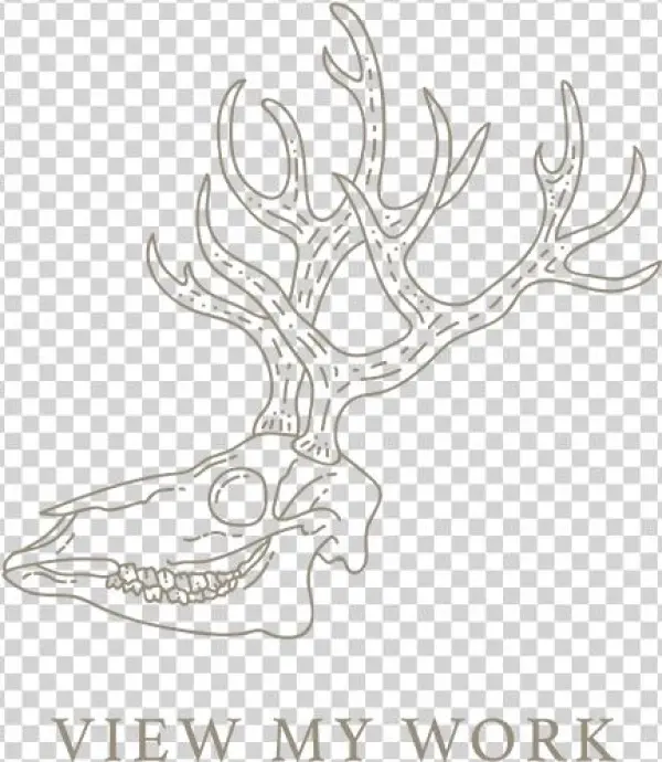 View My Work - Photography