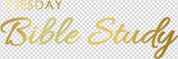 Berean Christian Academy - Stella And Dot Giveaway