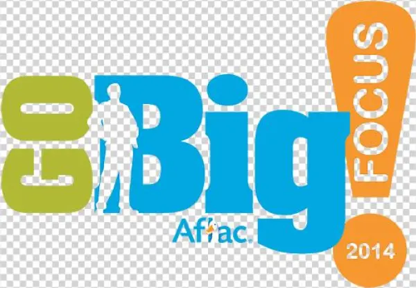 Category - Graphic Design