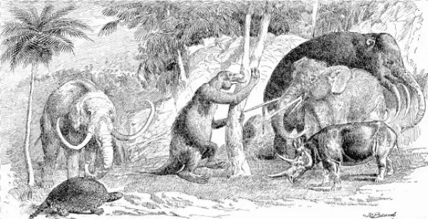 Cenozoic Cosmo 1894 Beard 1913 - Era Cenozoico