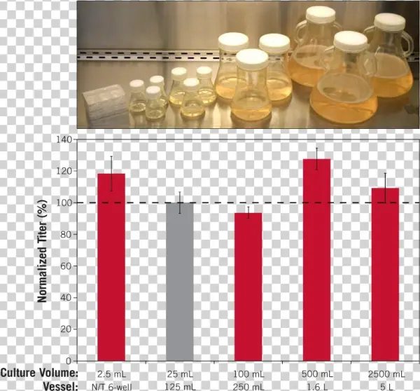 Chogro Expression System Enables Broad Scalability, - System