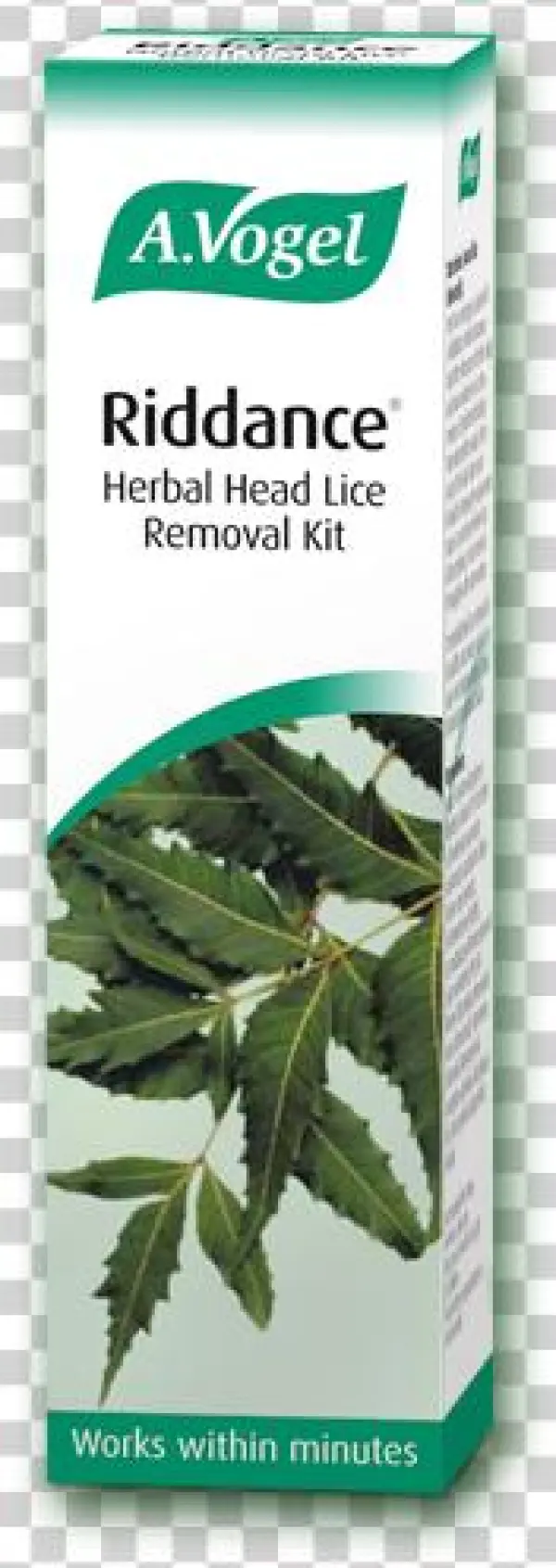 Detection, Treatment And Removal Of Head Lice - Medicine For Lice In India