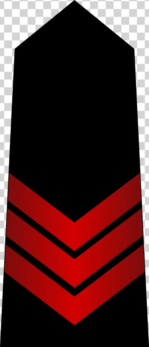 Grade Marine Tunisienne E3 - رتبة رقيب أول تونس