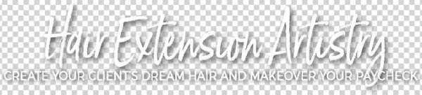 Hair Extension Artistry Logo Main - Graphics