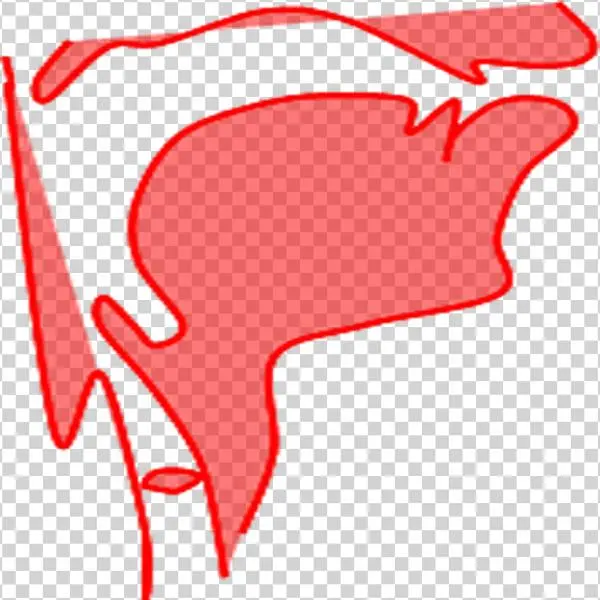 Indexical Properties In Speech - Perception