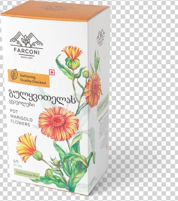 მრავალძარღვას ფესვები