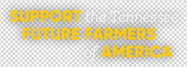 Opp3 Text - Graphics