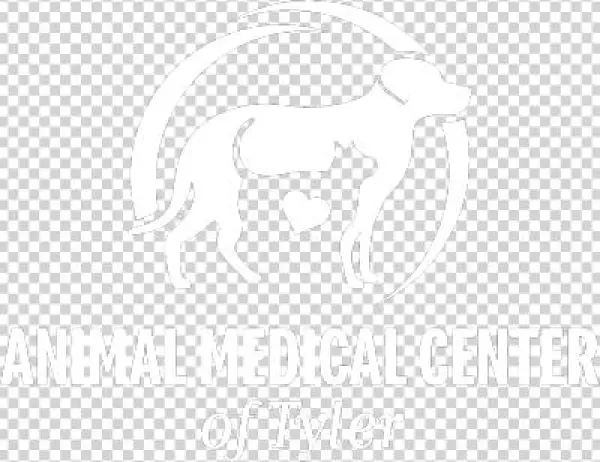 Payment Options - Logo