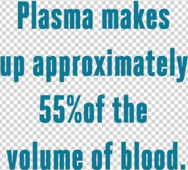 Plasma - Test