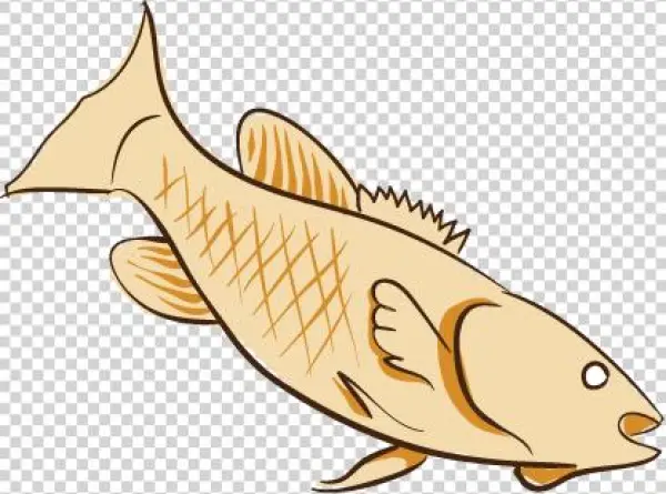 Real - Natural - Fun - - Mayodan