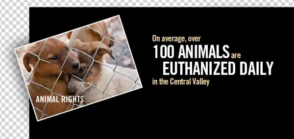 Relief Animal - Hugsformonsters Ie6